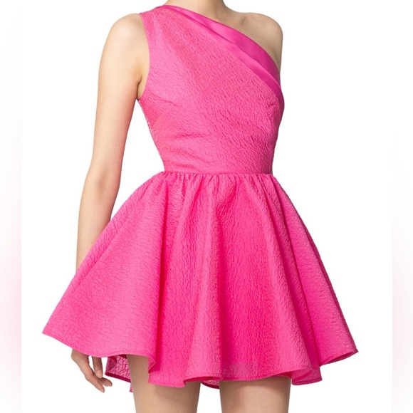 NWT - Sau Lee Voluminous Dress - Super stunning! - Picture 4 of 6